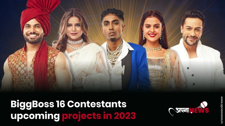 BiggBoss 16 Contestants and their upcoming projects in 2023