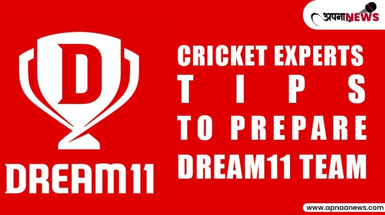 Cricket Experts to prepare Dream 11 team in 2023