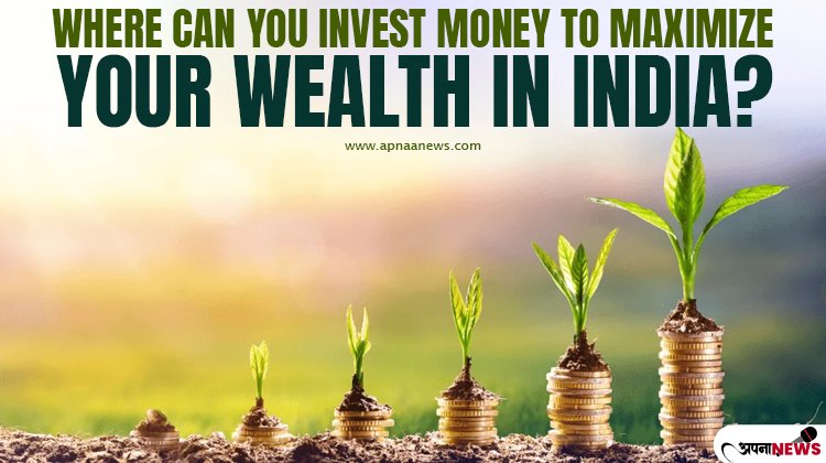 Where can you Invest Money to Maximize your Wealth in India?