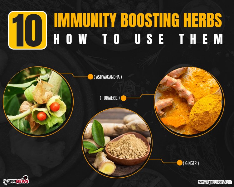 Why We Love 10 Immunity Boosting Herbs, How To Use Them(And You Should, Too!)