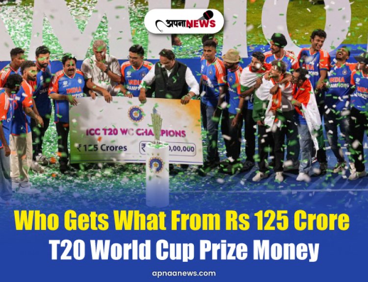 Who Gets What From Rs 125 Crore T20 World Cup 2024 Prize Money Announced By BCCI?