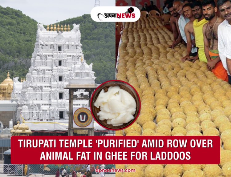 Tirupati Temple 'Purified' Amid Row Over Animal Fat In Ghee For Laddoos